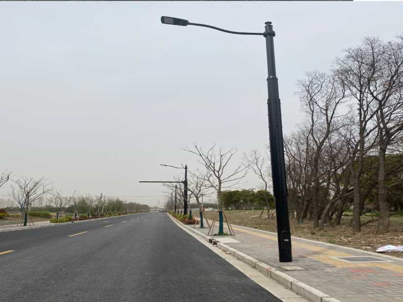 梅列区上海综合杆 太阳能路灯工程